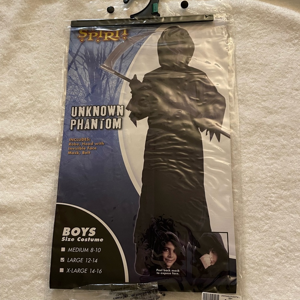 Phantom costume